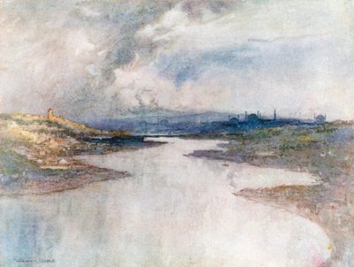 Galata and Stamboul from Eyoub by Warwick (after) Goble