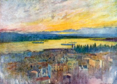 Golden Horn from the British Hospital, Galata by Warwick (after) Goble