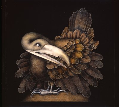 Bombax Bird by Wayne Anderson