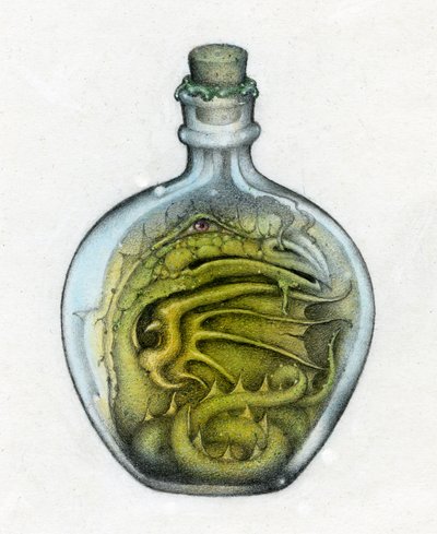 Bottled Dragon by Wayne Anderson