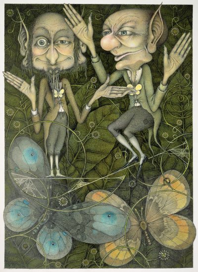 Spider Web Tightrope by Wayne Anderson