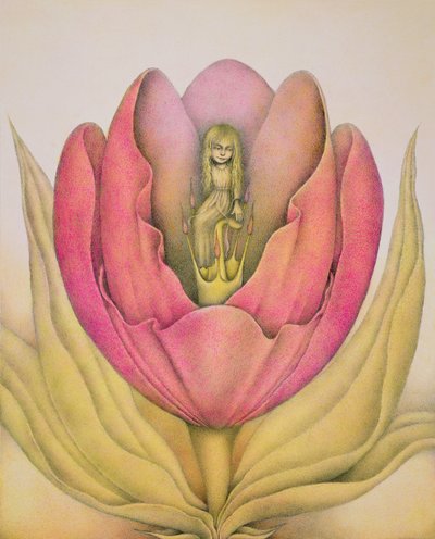 The Tulip Burst Open With a Pop by Wayne Anderson