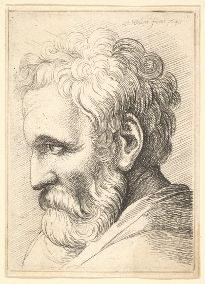 Bearded Old Man by Wenceslaus Hollar