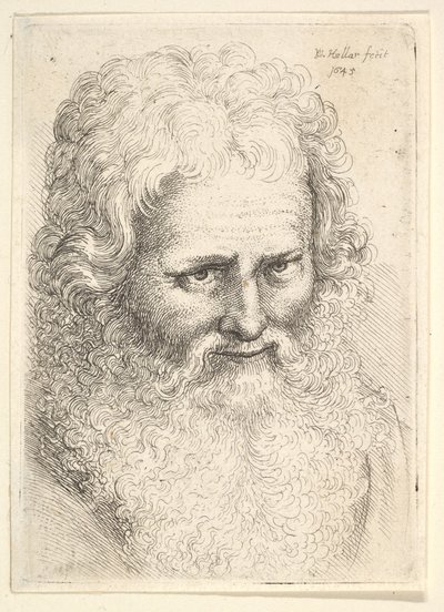Head of an Old Man with a Large Beard by Wenceslaus Hollar