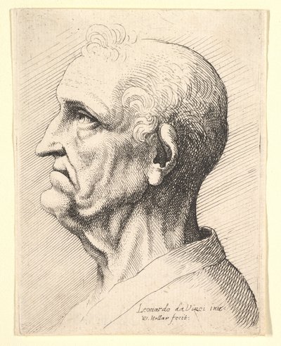 Head of an Old Man with Tufts of Curly Hair Around Ear in Profile to Left, 1644-52 by Wenceslaus Hollar