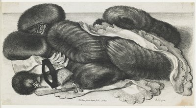 Muffs and Articles of Clothing on a Table by Wenceslaus Hollar