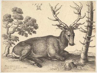 Stag lying to right by Wenceslaus Hollar