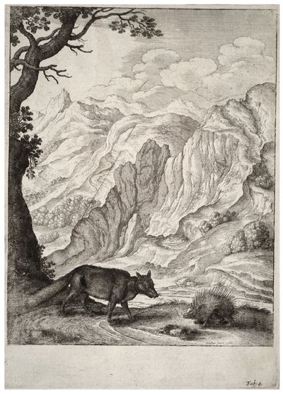 The fox and the porcupine (State 2) by Wenceslaus Hollar