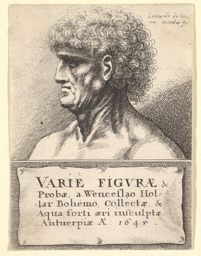 Title-page to Varie Figuræ & Probæ, 1645 by Wenceslaus Hollar