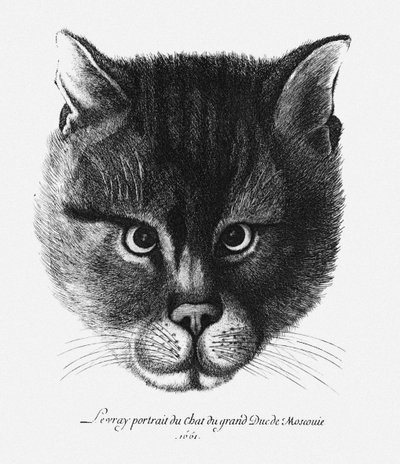 True picture of the Cat of the Tsar Alexis I Mikhailovich of Russia by Wenceslaus Hollar
