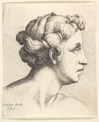 Woman with a bound tress of hair in profile to right by Wenceslaus Hollar