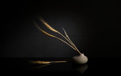 Golden Wheat Still Life by Wendy Xu