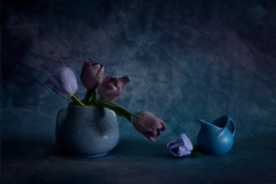 Moody Blue Tulips by Wendy Xu