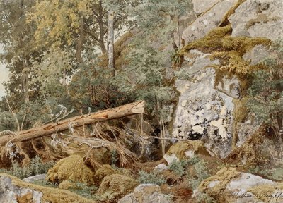 Mossy Rock in the Forest by Werner Holmberg