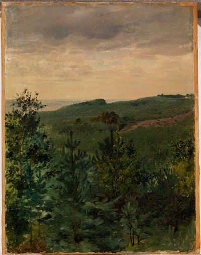 Spruce Saplings in Sandy Soil, Study by Werner Holmberg