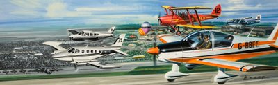 Aerial Display by Wilf (20th century) Hardy