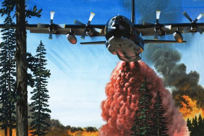 Bombing a Forest Fire by Wilf (20th century) Hardy