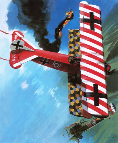 Fokker D VII by Wilf (20th century) Hardy