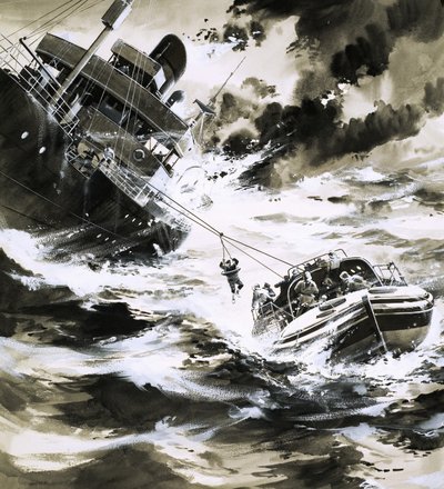 Rescue at sea by Wilf (20th century) Hardy