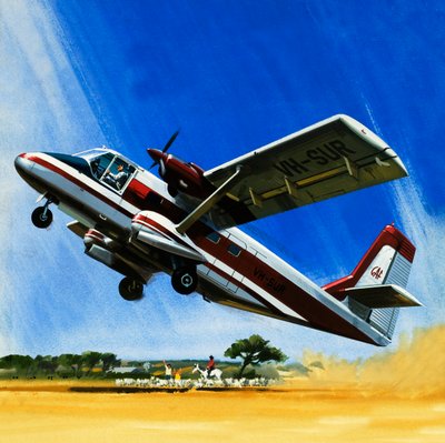 Twin-Engined Nomad Short Take-Off Plane by Wilf (20th century) Hardy
