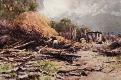 Japheth at Work by Wilfrid Williams Ball