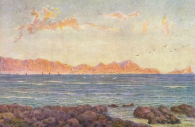 The Southern Part of False Bay, with Cape Hangclip by Wilhelm Westhofen
