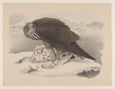 Gyrfalcon with Ptarmigan by Willem Bastiaan van Wouw