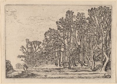 Two Plank Hedges by Willem Buytewech