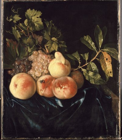 Still Life with Peaches and Grapes by Willem Frederik van Royen