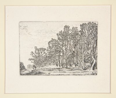 Two Plank-Hedges, Plate 6 from The Set of the Landscapes by Willem Pietersz. Buytewech