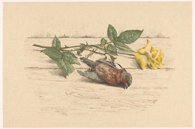 Dead Finch Lying Next to a Rose by Willem Roelofs (II) (signed by artist)