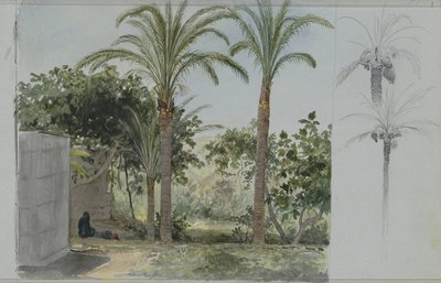 Oasis with Palm Trees by Willem de Famars Testas