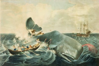 Capturing a Sperm Whale, engraved by J. Hill, published 1835 by William (after) Page