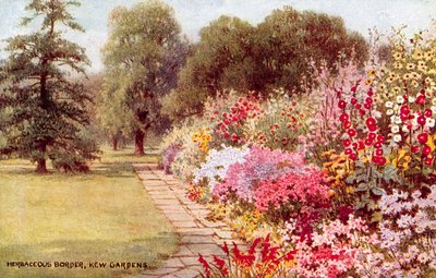 Herbaceous Border, Kew Gardens by William Affleck Carruthers