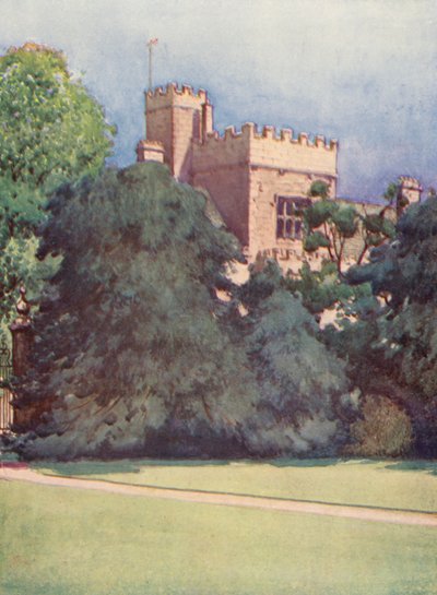 Wadham College from Trinity College gardens by William Ainsworth Wildman