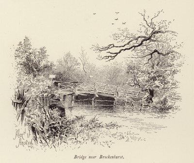 Bridge near Brockenhurst by William Alexander Ansted