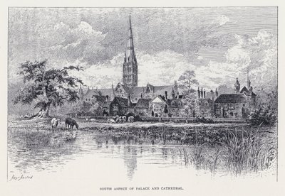 South Aspect of Palace and Cathedral by William Alexander Ansted