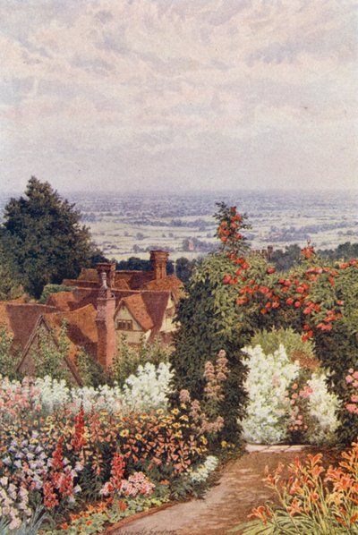 The Weald from the Doctor