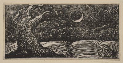 Blasted Trees and Flattened Crops, from Thornton