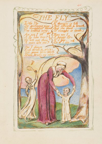 Songs of Experience: The Fly by William Blake