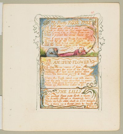 Songs of Innocence and of Experience: My Pretty Rose Tree, Ah! Sun-Flower, The Lily by William Blake
