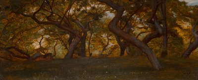 A Wood near Volterra, Italy by William Blake Richmond