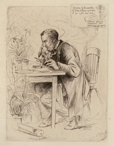 Alexander Dickson, Professor of Botany (engraving) by William Brassey (after) Hole