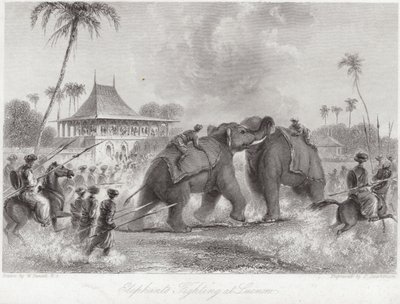 Elephants Fighting at Lucknow by William Daniell