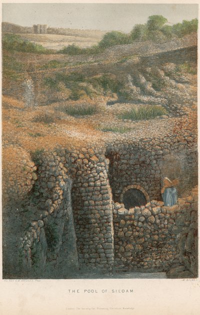 The Pool of Siloam by William Dickes