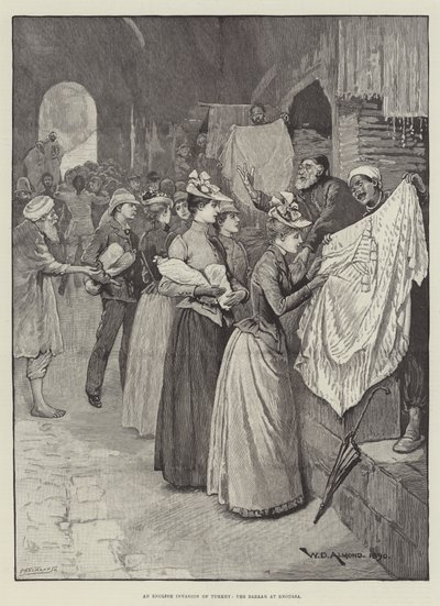 An English Invasion of Turkey, the Bazaar at Broussa by William Douglas Almond
