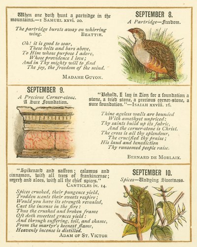 Page from The Bible Emblem Anniversary Book by William Foster