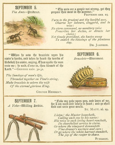 Page from The Bible Emblem Anniversary Book by William Foster