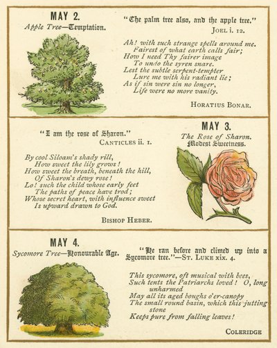 Page from The Bible Emblem Anniversary Book by William Foster
