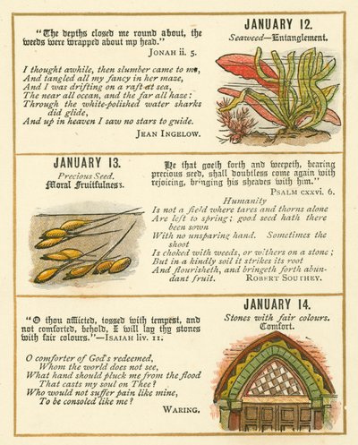 Page from The Bible Emblem Anniversary Book by William Foster